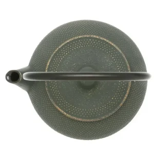MIYA Company Teapots - Cast Iron^Cast Iron Green/Bronze Hobnail Teapot 0.65L