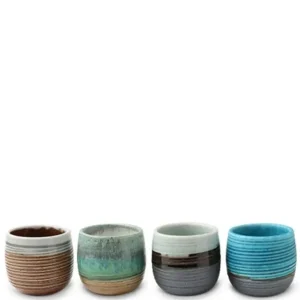 MIYA Company Cup/Mug Sets^Haruto 8 Oz. Teacup Set