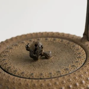 MIYA Company Teapots - Cast Iron^Iwachu Kettle Tetsubin Gravel Turtleshell Brown