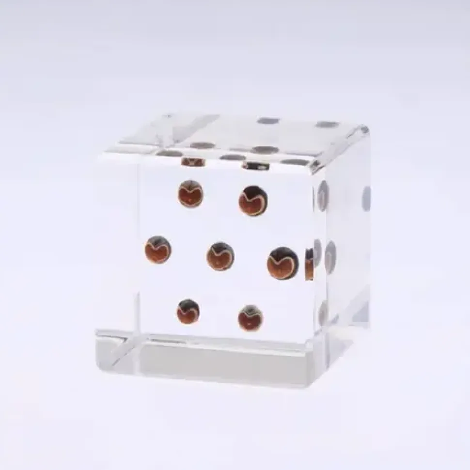 sola_cube_balloon_plant_0.webp MIYA Company Desk Accessories^Sola Cube Balloon Plant