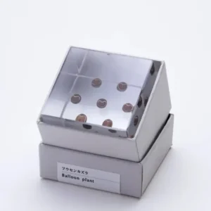 MIYA Company Desk Accessories^Sola Cube Balloon Plant