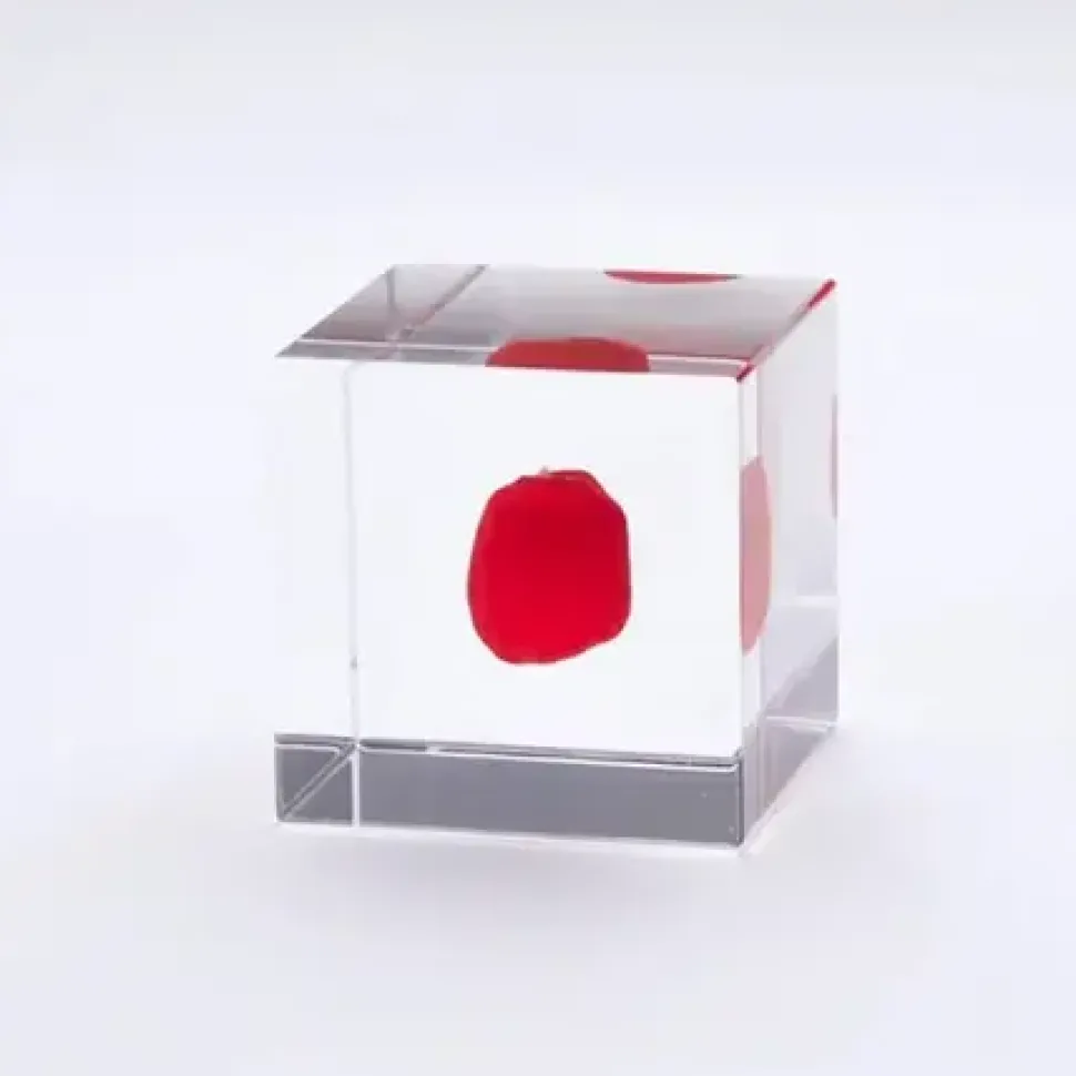sola_cube_huayruro_seed_0.webp MIYA Company Desk Accessories^Sola Cube Huayruro Seed