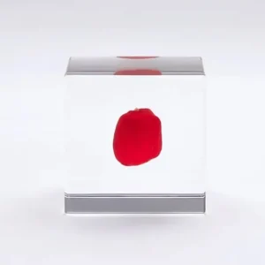 MIYA Company Desk Accessories^Sola Cube Huayruro Seed