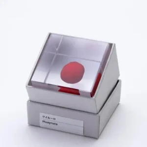 MIYA Company Desk Accessories^Sola Cube Huayruro Seed
