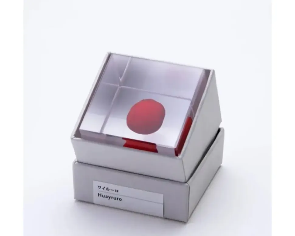 sola_cube_huayruro_seed_3.webp MIYA Company Desk Accessories^Sola Cube Huayruro Seed